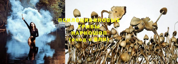 стаф Няндома